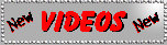 jaybeez001004.jpg